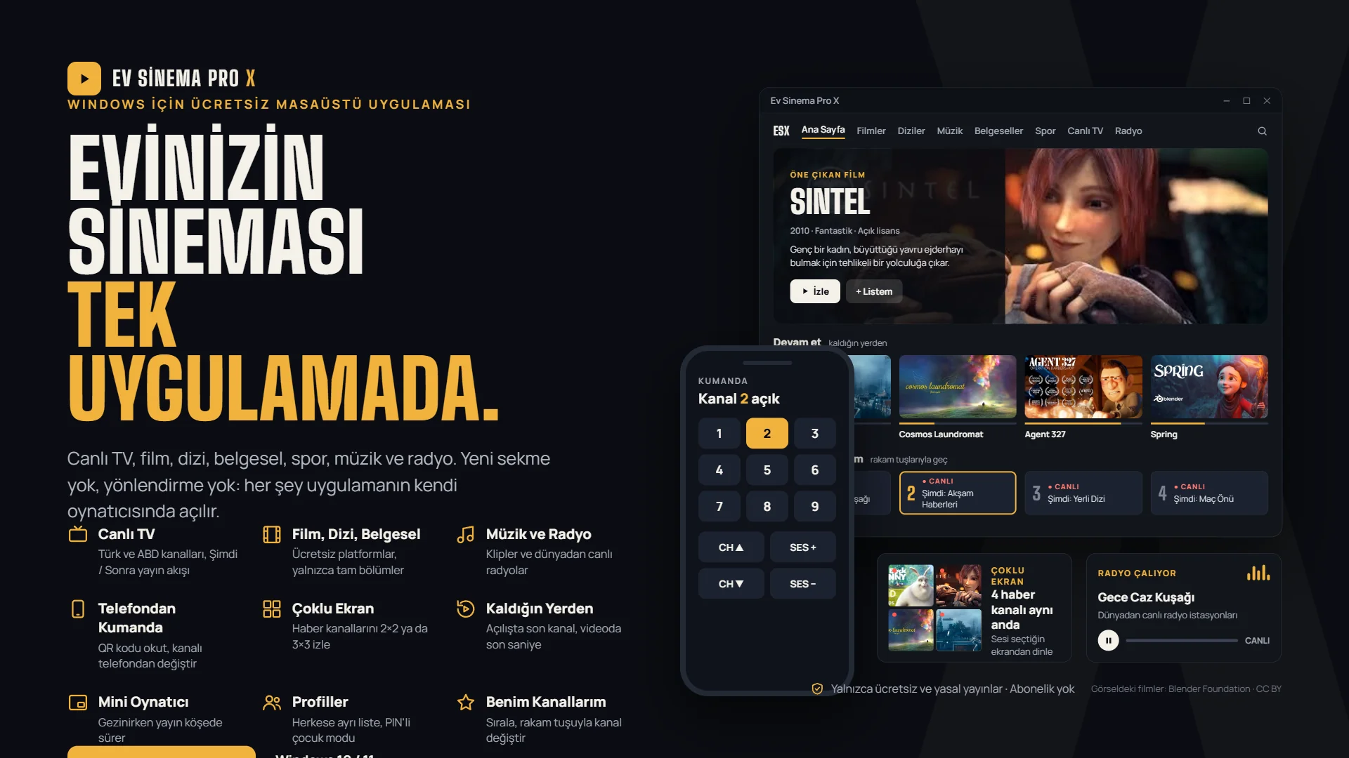 Ev Sinema Pro X otomasyon ekranı — Marka Rengi